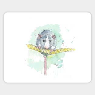 Rat on a Rope Sticker